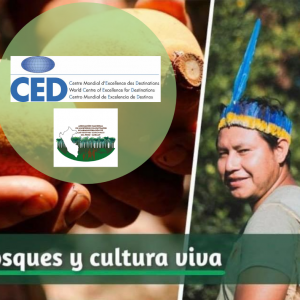 ANECAP PERU ANECAP PERU